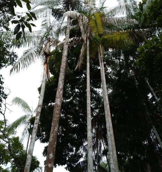 manati-lodge-depoimentos-sylviom-2